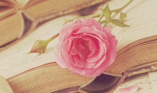 各色人等是什么意思 一个人色是什么意思