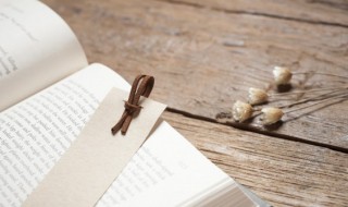 别出新意是什么意思 别有新意的别是什么意思