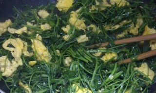 金花菜炒鸡蛋的做法 金花菜炒鸡蛋