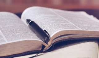 望风响应是什么意思 望风响应是成语吗