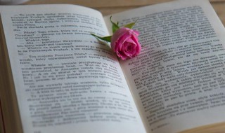 缧绁是什么意思（何至自沉溺缧绁之辱哉的缧绁是什么意思）