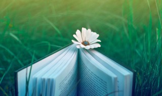 胡作乱为是什么意思（胡乱作为的意思）