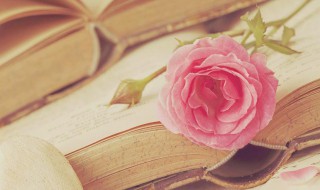 饮水思源是什么意思 饮水思源是什么意思造句