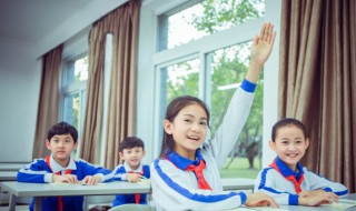 狮象搏兔皆用全力是什么意思 狮子搏兔皆用全力