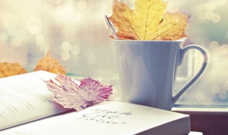 饭来张口是什么意思（饭来张口是什么意思???）