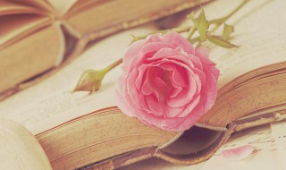 另请高明是什么意思 另求高明是什么意思