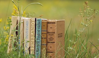 同类相求是什么意思 同明相照,同类相求是什么意思