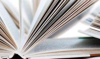 百不一存是什么意思 百不存一矣的存是什么意思