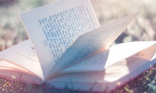 一扫而光是什么意思 一扫而光是什么意思?是什么意思