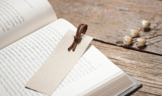 愚者千虑必有一得是什么意思 愚者千虑必有一得是什么意思啊