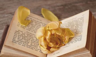 成则为王败则为贼是什么意思 成则为王败则为贼是什么意思啊