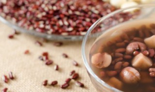 陈皮薏仁红豆汤的做法 陈皮薏仁红豆汤的做法视频