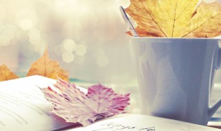 福兮祸所伏祸兮福所倚是什么意思 福兮祸所伏 祸兮福所倚是什么意思?