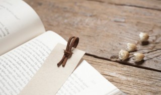 春生夏长秋收冬藏是什么意思（春生夏长秋收冬藏是什么意思冬藏）