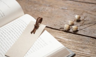 经一事长一智是什么意思 不经一事 长一智什么意思