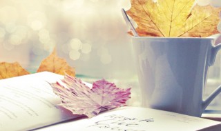 感悟人生唯美句子短句（感悟人生唯美句子,句句精辟）