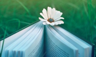 霸气低调正能量的句子（霸气低调正能量的词语）