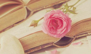 论千论万是什么意思（论千论万是成语吗）