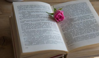 有识之士是什么意思（什么叫有识之士）