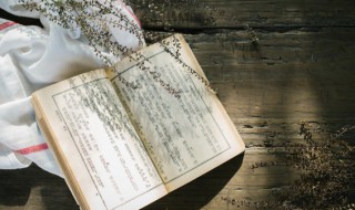 水流湿火就燥是什么意思（水流失火就燥的意思）