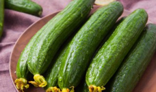 小黄瓜嫩炒鸡丁的做法（小黄瓜嫩炒鸡丁的做法视频）