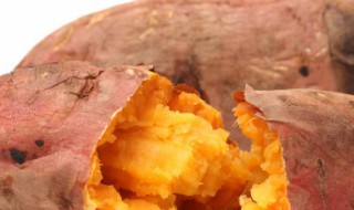 电饭煲烤红薯的方法（电饭煲烤红薯的方法视频）