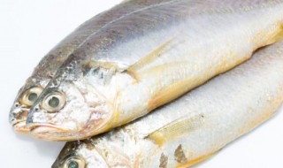 煎小黄鱼怎么不粘锅不掉皮 怎样煎小黄鱼不粘锅不掉皮