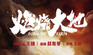 燃烧大地剧情介绍（电视剧燃烧大地剧情介绍）