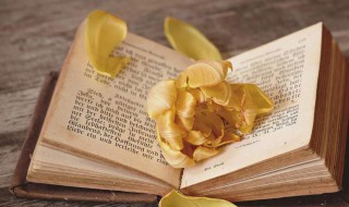 女生简单气质高冷说说（个性说说女生气质高冷）