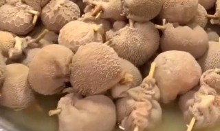 蒙古羊肚包肉做法 蒙古羊肚包肉做法图片