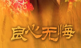 良心无悔剧情介绍（良心无悔剧情介绍结局）