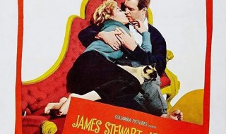 夺情记剧情介绍（夺爱剧情分集介绍）