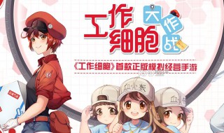 工作细胞剧情介绍 工作细胞 剧情