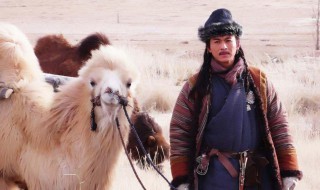 大盛魁剧情介绍（大盛魁剧情介绍|剧情简介）