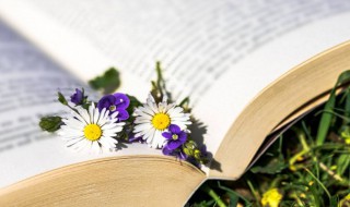 帅气稳重的网名男（帅气稳重的网名男士）