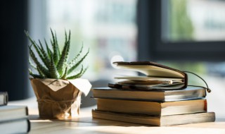 放什么植物可以吸收甲醛 放什么植物可以除甲醛