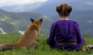 狐狸接触狐尾草后会怎样（狐狸接触狐尾草后会怎样处理）