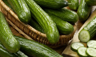 黄瓜结瓜期的管理要点 黄瓜结瓜期的管理要点和注意