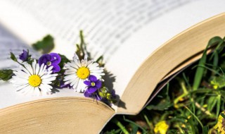 成熟正能量的网名 成熟正能量的网名女