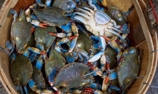 梭子蟹买回家就死了（梭子蟹买回家就死了为什么）