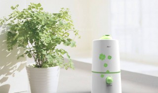 加湿器能直接对着脸吹吗（加湿器能直接对着脸吹吗蚂蚁）