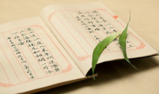 鹤归孤山斯人已至什么意思（鹤归孤山,斯人已至上一句）