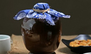 菠萝酒的做法（菠萝酒的做法 自酿）