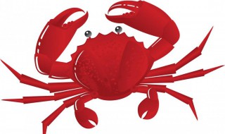 螃蟹如何养两到三天 螃蟹解开如何养两到三天