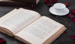 女生网名文静的 女生网名文静的两个字