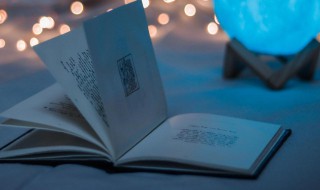 优雅淑女的网名（优雅淑女的网名好听有内涵挽梦忆笙歌）