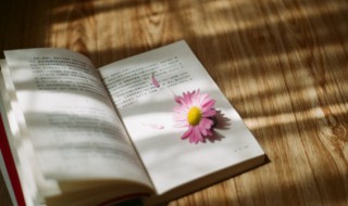 沐甚雨栉疾风是什么意思（沐风栉雨的意思是什么）