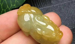 貔貅怎么分招财和守财（貔貅怎么分招财和守财图片）