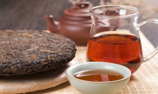 普洱茶树在北方怎样种植（白茶树可以在北方种植吗）