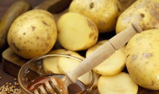 土豆高产种植技术 土豆高产种植技术与管理方法视频